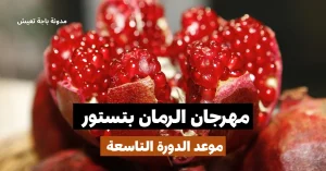 مهرجان الرمان بتستور 2025: موعد الدورة التاسعة